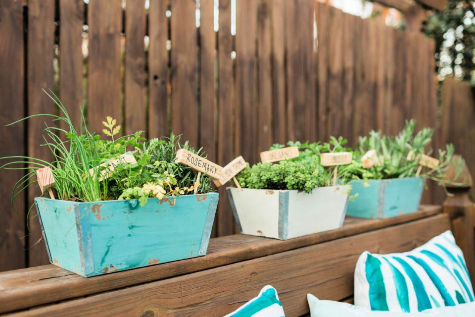 Mini Herb Gardening for Your Porch