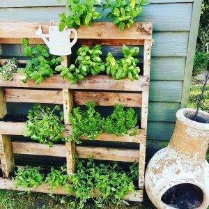 60 Easy Pallet Garden Ideas | Vertical Pallet Herb Garden 2021