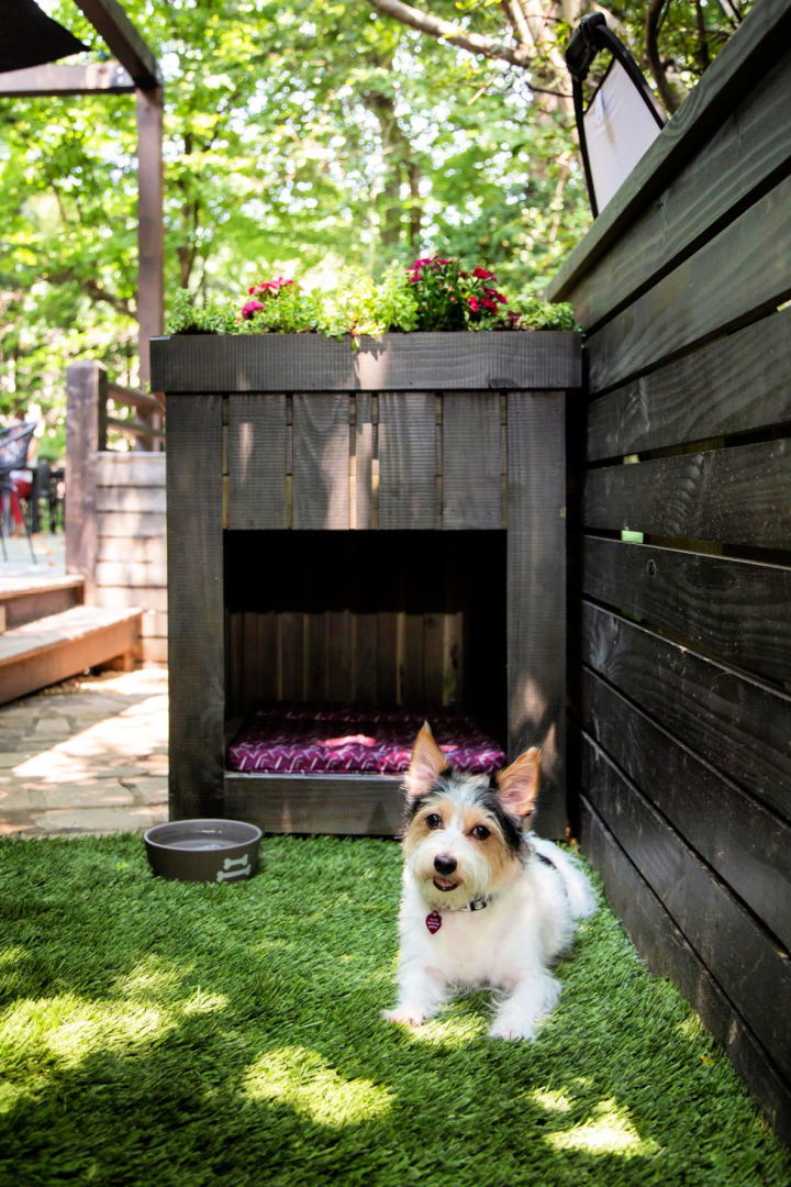 Pallet Dog House