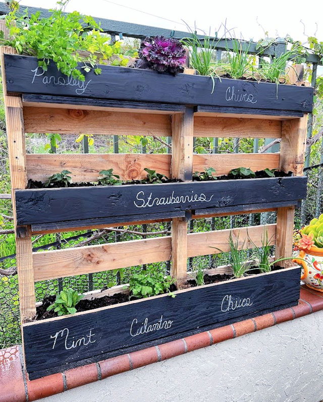 Building a Pallet Herb Garden