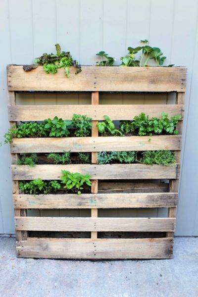 60 DIY Pallet Garden Ideas | Vertical Pallet Herb Garden