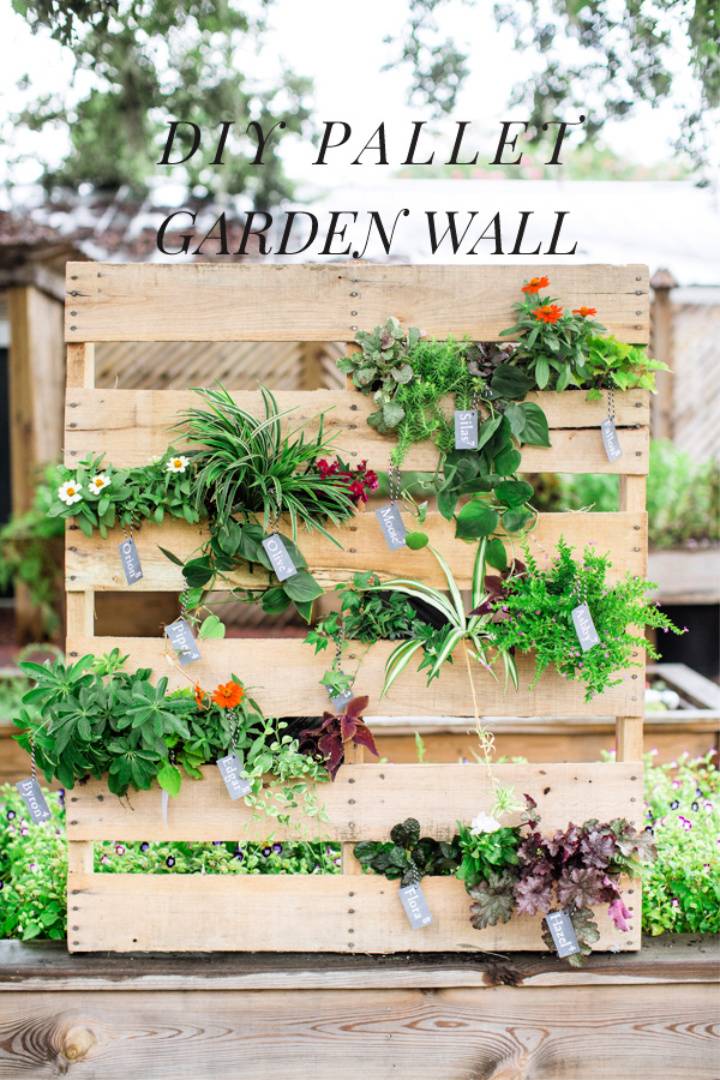 Pallet Living Wall