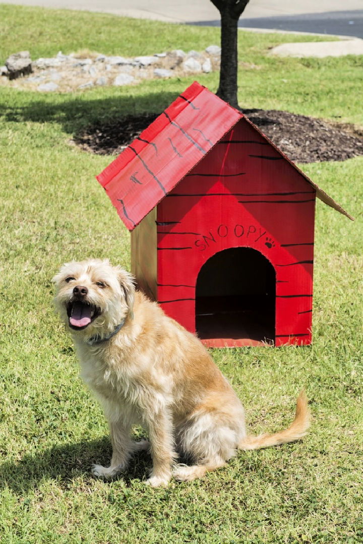 Snoopy Dog House