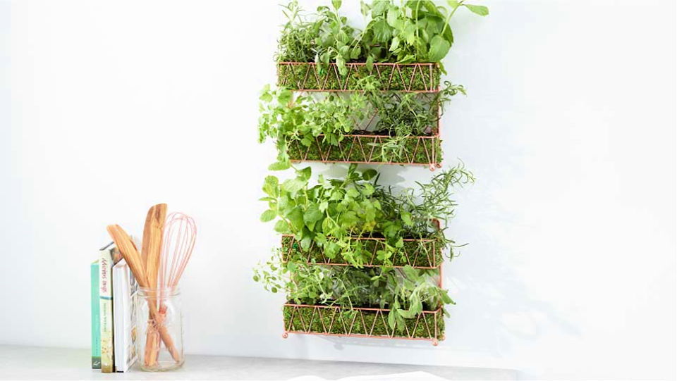 Spice Rack to Herb Garden