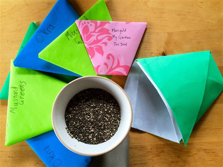 Super Easy DIY Origami Seed Envelopes
