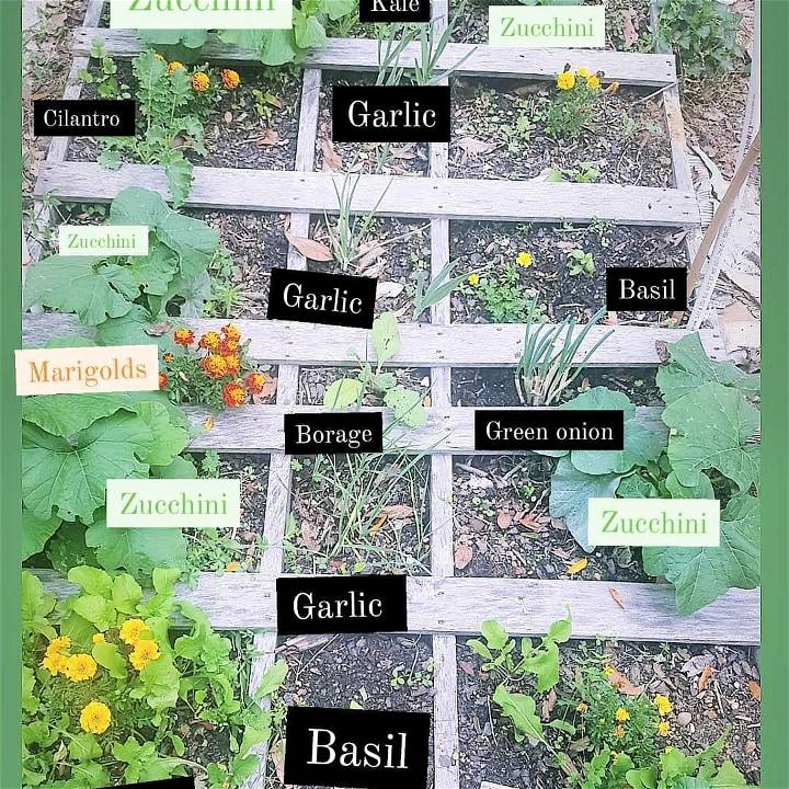 This is the first pallet garden Ive ever made. We grew everything except the marigolds from seedbulb and its definitely boosted our confidence