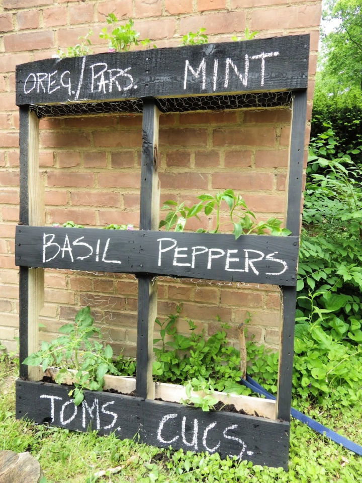 DIY Urban Vertical Pallet Garden