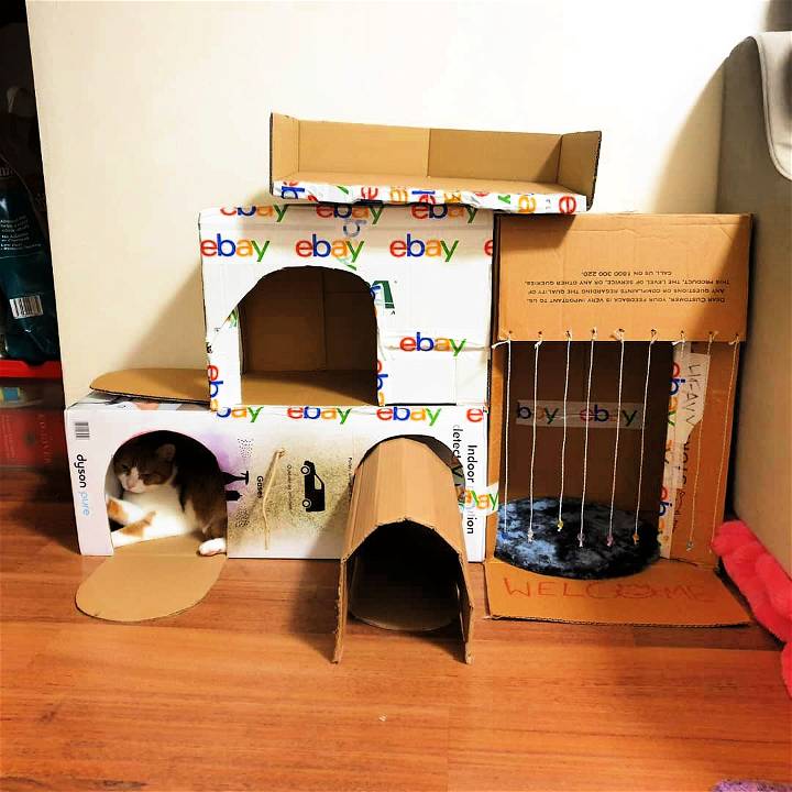 cardboard cat house you can make at home