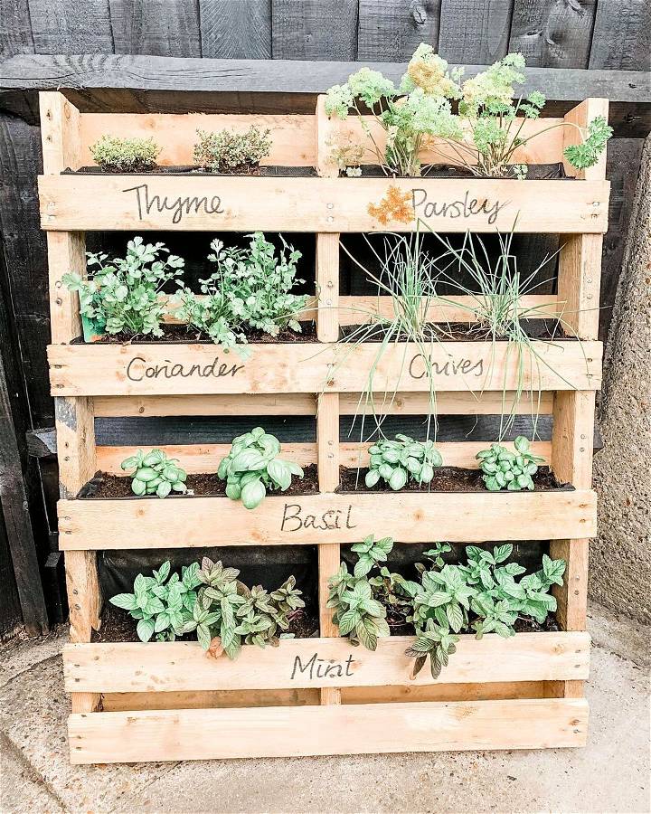 couldnt resist showing off our ‘grow your own veggie patch and herb garden. Foraged found these pallets from some of our neighbours who were doing some