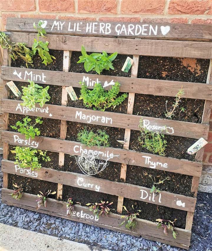 pallet herb garden project