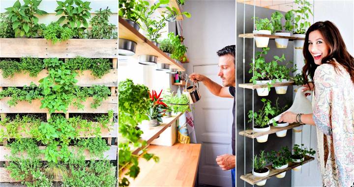 Diy Herb Garden Ideas For Indoor Outdoor, Indoor Hanging Herb Garden Diy