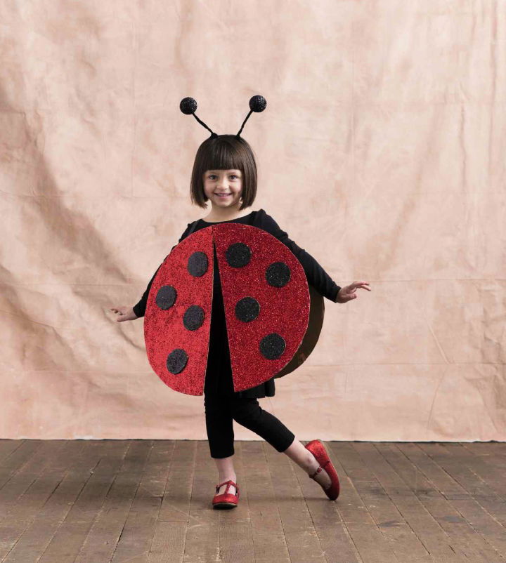 13 Simple DIY Ladybug Costume Ideas to Make for Halloween