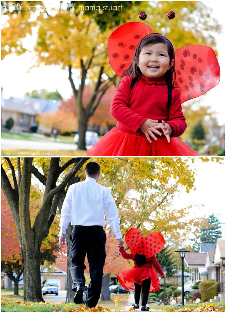 DIY Wings Ladybug Halloween Costume