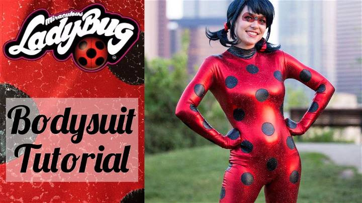 Homemade Ladybug Costume For Adults