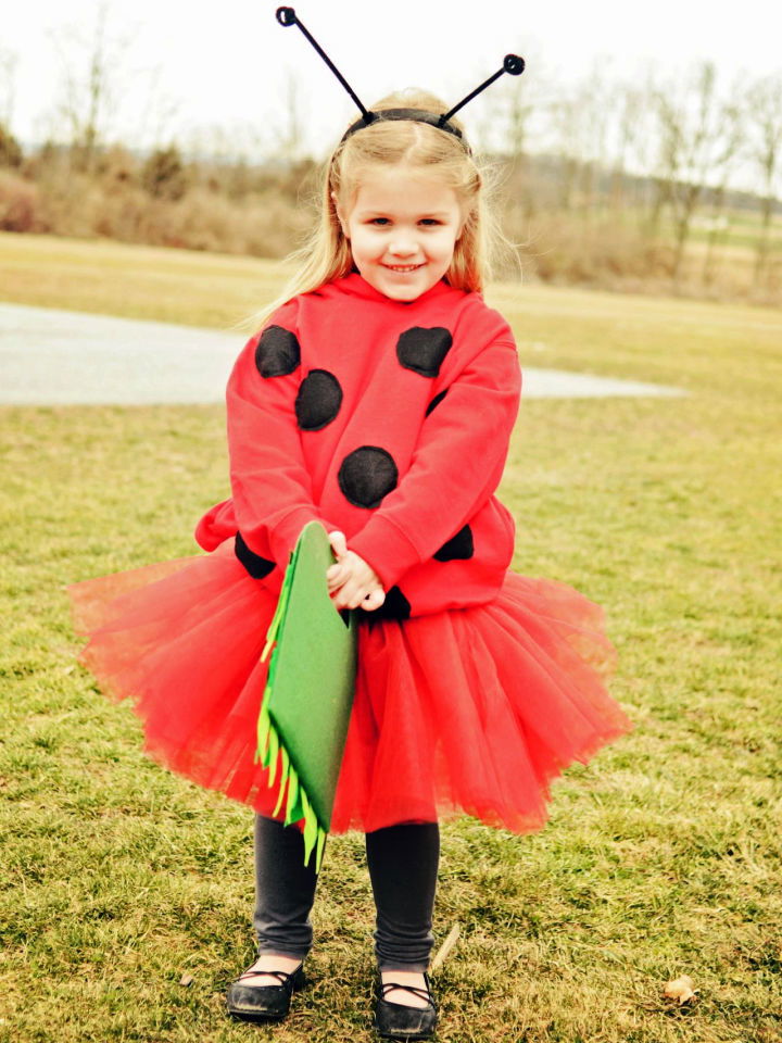 DIY Ladybug Costume for Halloween