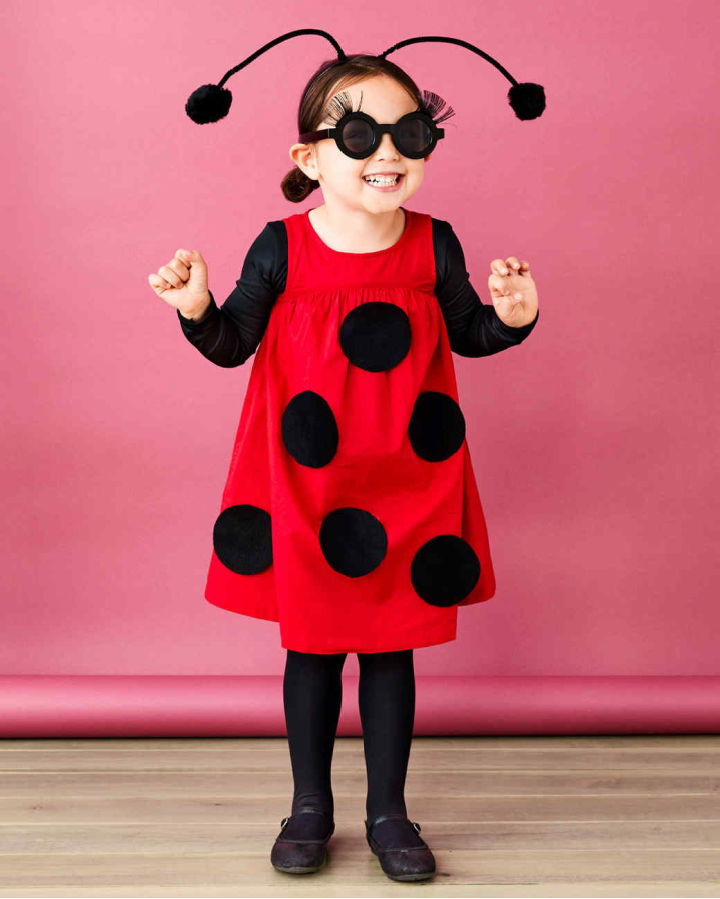 How to Make a Ladybug Costume