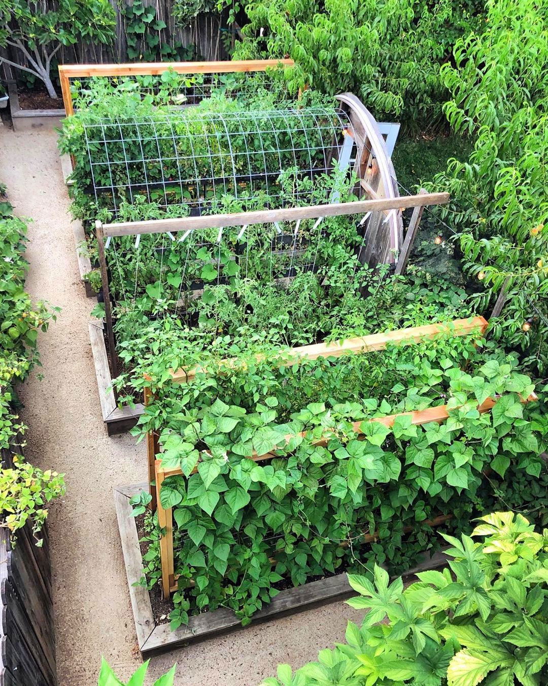 How to Build a Trellis