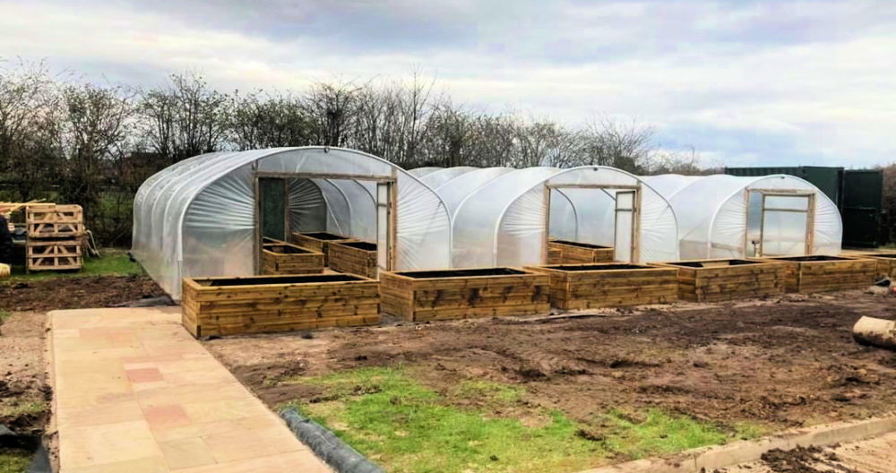 How to Make A Greenhouse