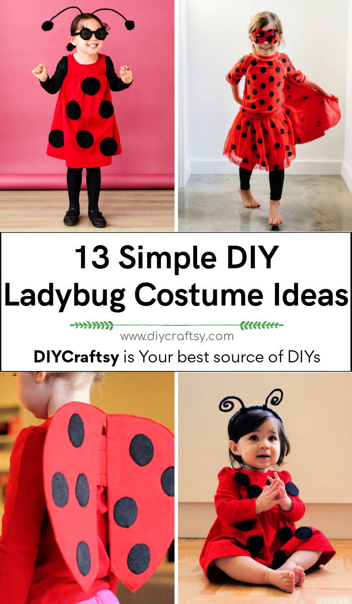 13 Simple DIY Ladybug Costume Ideas to Make for This Halloween