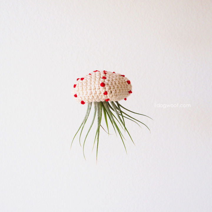 Free Crochet Air Plant Jellyfish Pattern