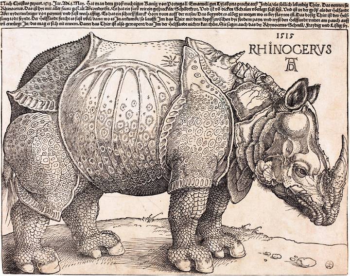 Durers Rhinoceros
