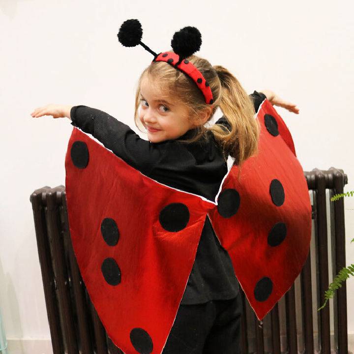 Make Your Own Ladybird Costume