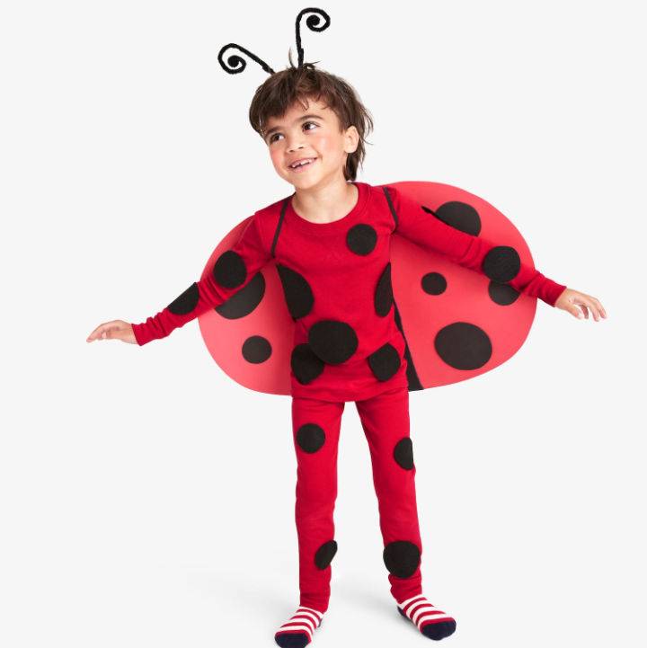 Make Your Own Ladybug Costume