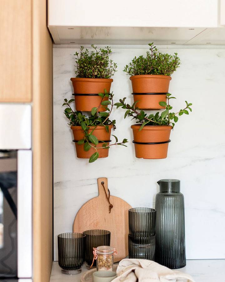 Easy DIY Indoor Herb Wall Garden