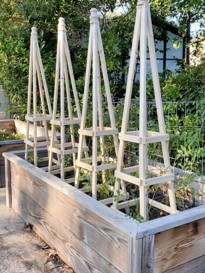 How to Build Tomato Cages