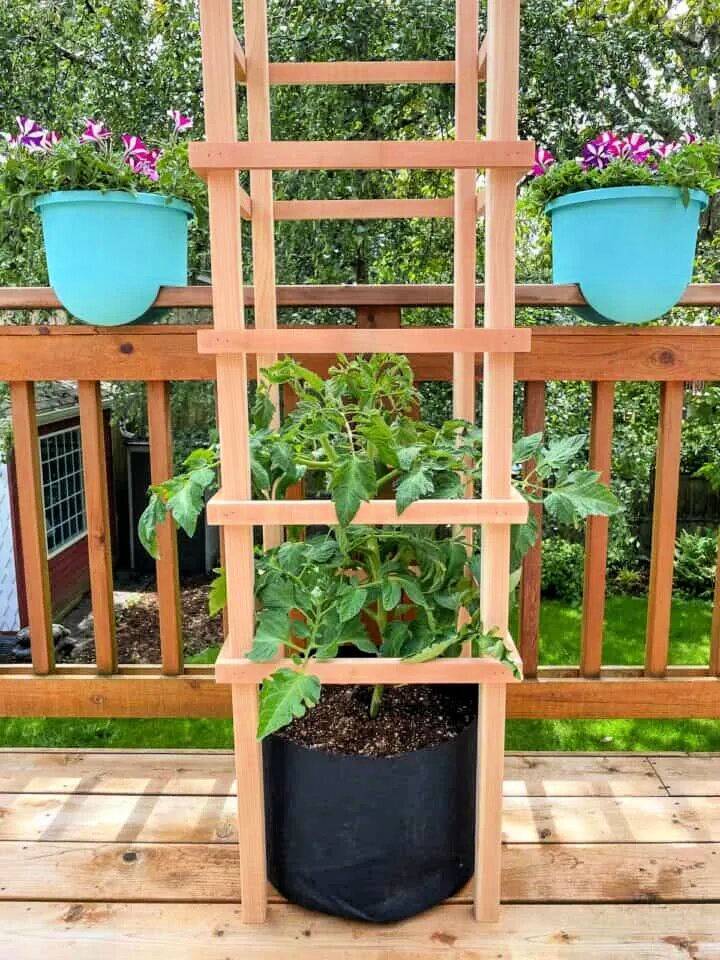 Making a Wooden Tomato Cage for Pots