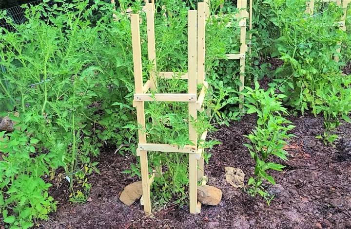 Strong and Economical DIY Tomato Cages