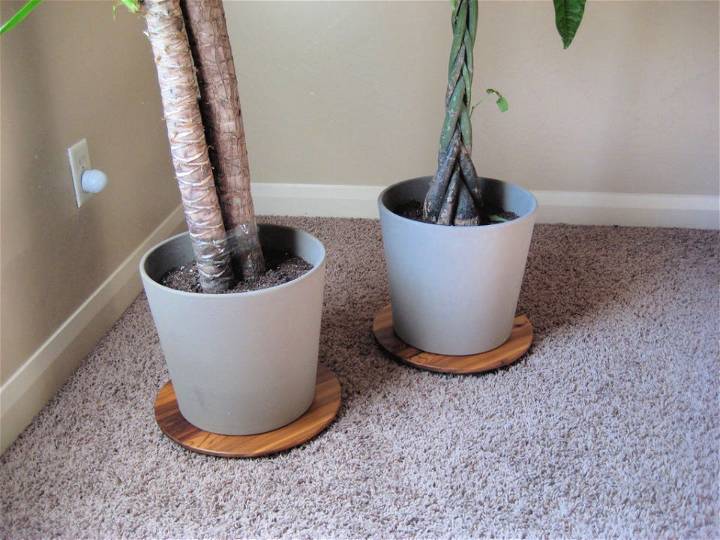 Easy DIY Low Plant Stand