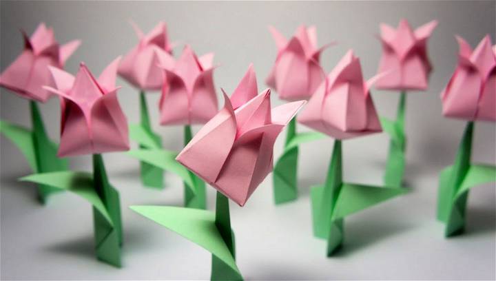 Make an Easy Origami Tulip