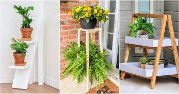 plant stand plan