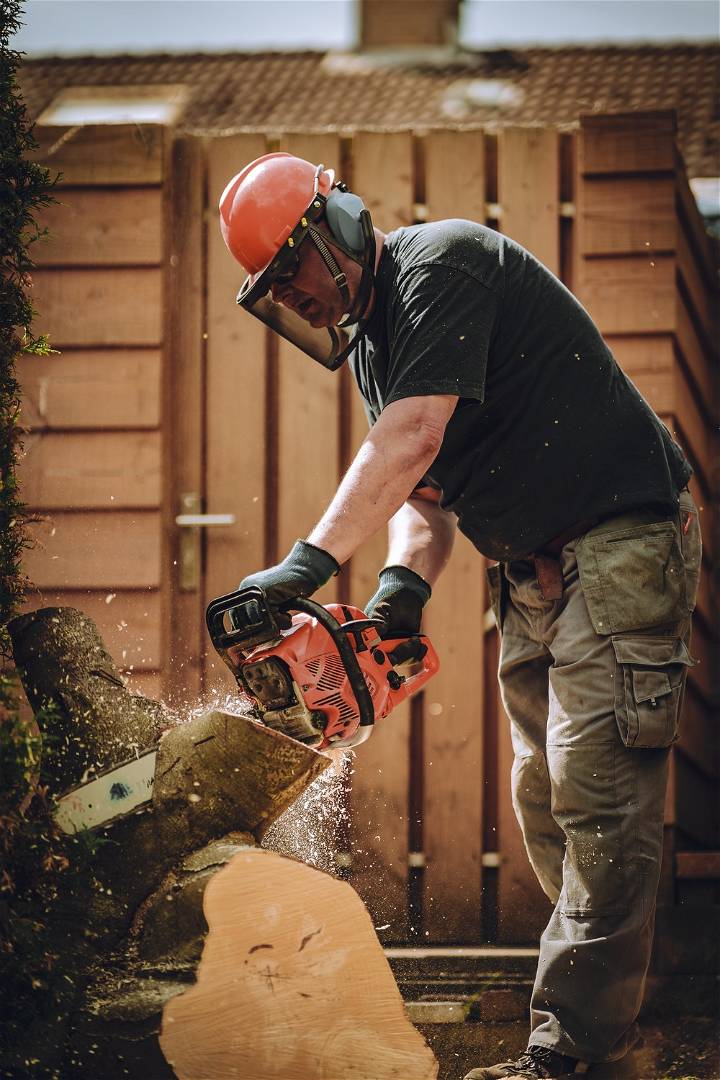 Top Amazing Things You Should Keep in Mind When Hiring a Tree Service Company