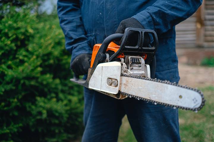 Top Things You Should Keep in Mind When Hiring a Tree Service Company