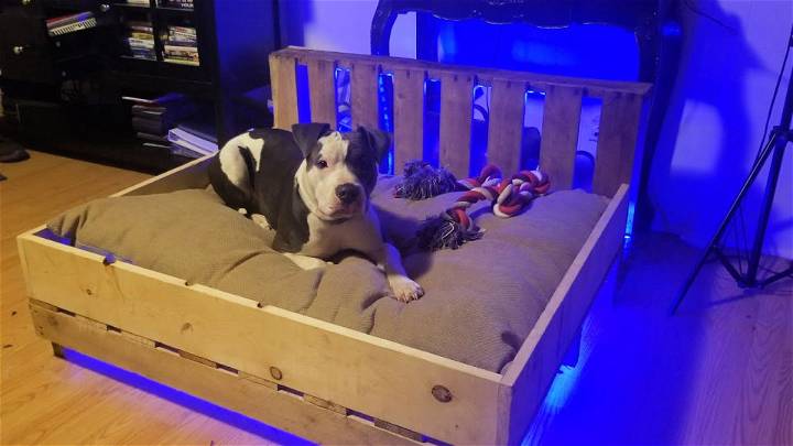 DIY Dog Bed From Repurposed Pallets