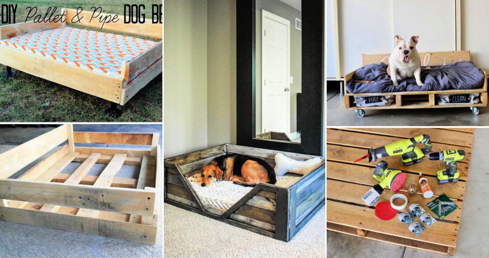 20 Easy DIY Pallet Dog Bed Ideas How to Make