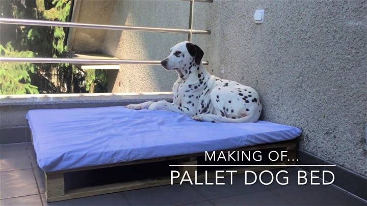 Simple and Cheap DIY Pallet Dog Bed