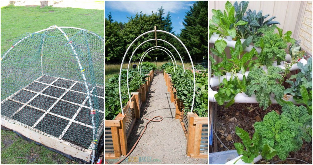 diy pvc pipe garden ideas