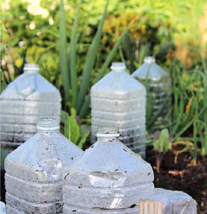 DIY Bottle Greenhouse