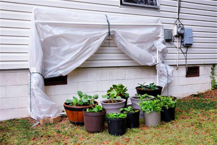 DIY Fold down Greenhouse
