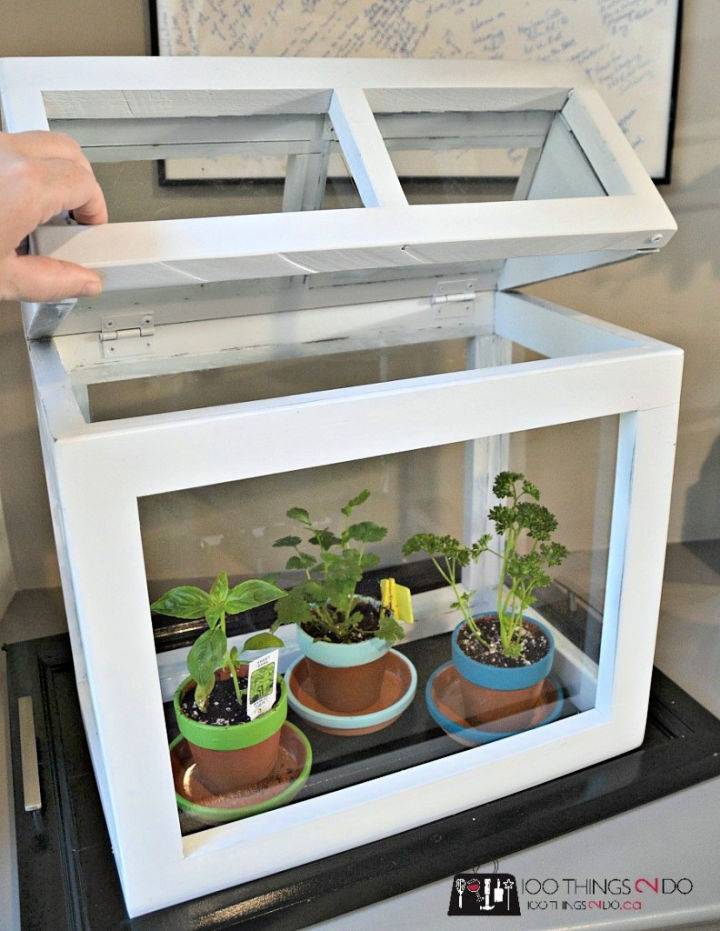 DIY Tabletop Greenhouse