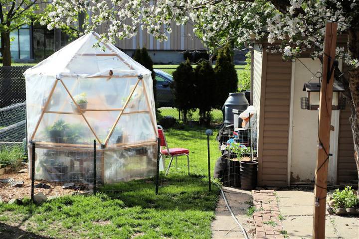 Make a Geodome Greenhouse for Small Urban Garden