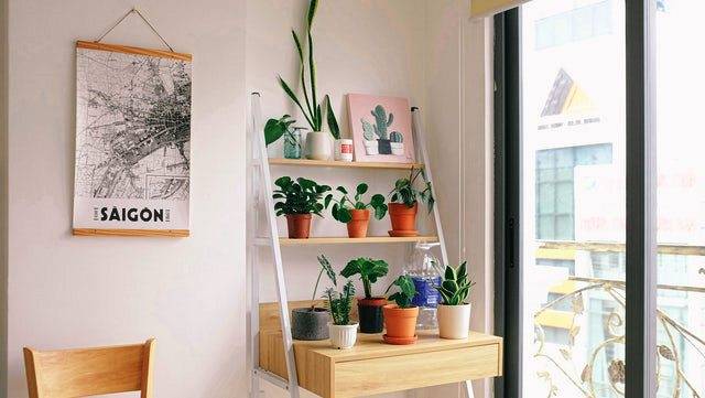 A shelf with flower pots.