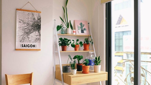 A shelf with flower pots.