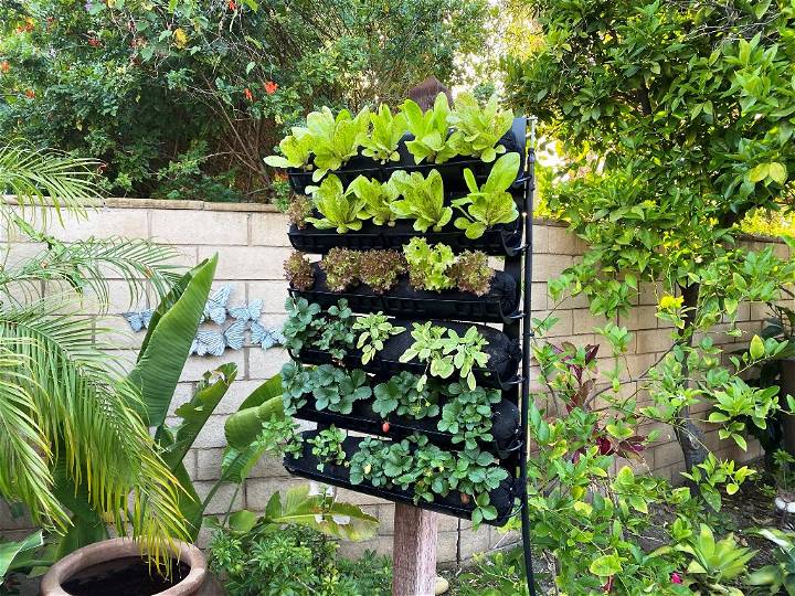 Characteristics and Functions of the Vertical Garden