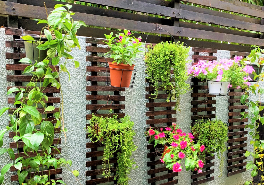 How to make a vertical garden