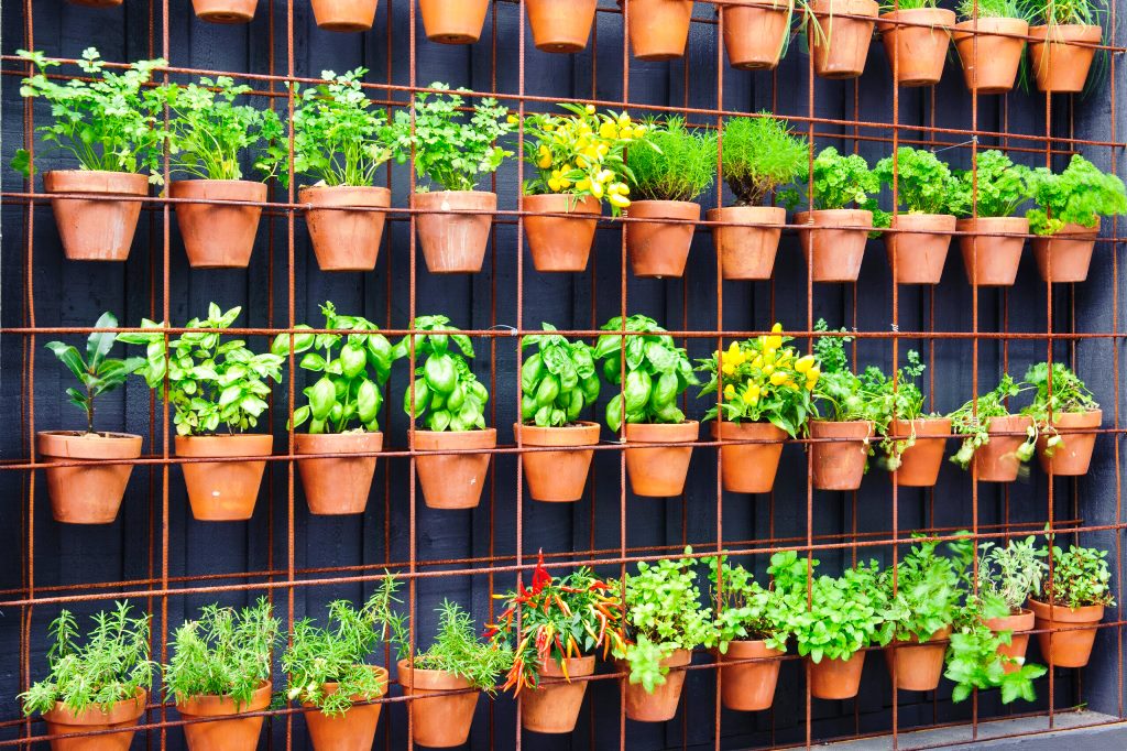 Vertical garden requirements