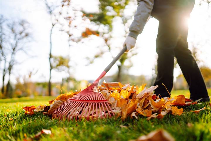 An Easy Homeowners Guide To Outdoor Fall Cleaning